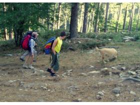 photo coins arrondis